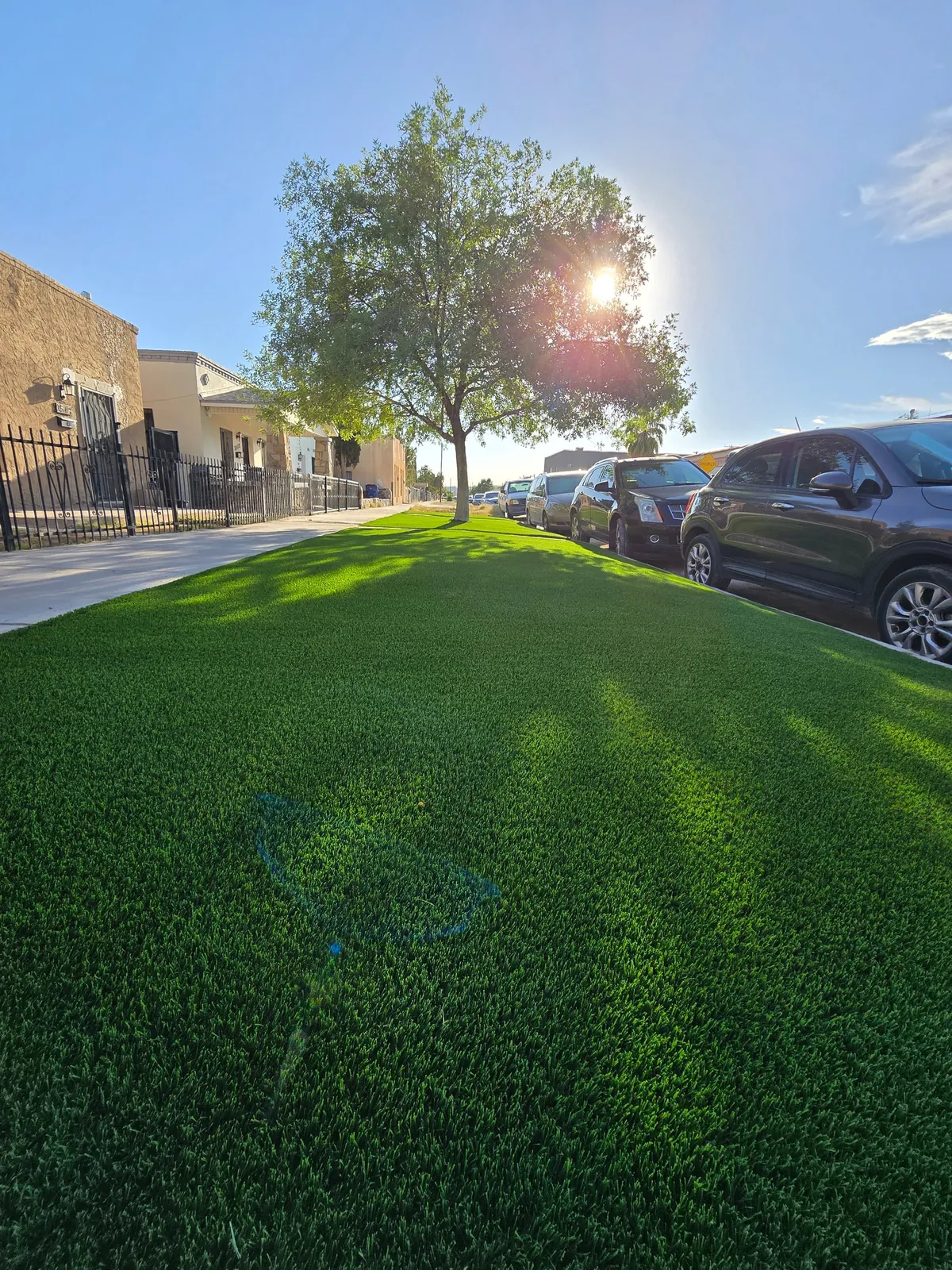 Completed artificial turf lawn installed around a shade tree in an El Paso front yard
